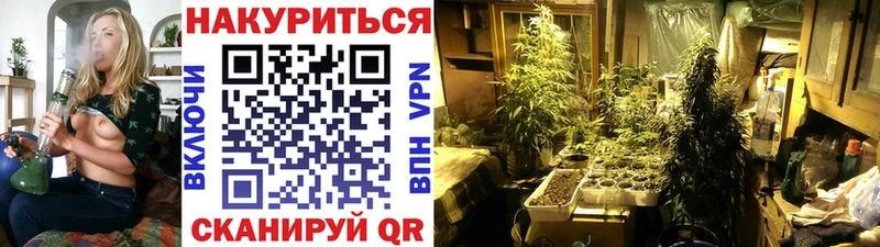 Купить где  Ельня  Бошки Шишки Bruce Banner 